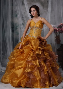 Brown Ball Gown Straps Floor-length Organza Beading Quinceanera Dress
